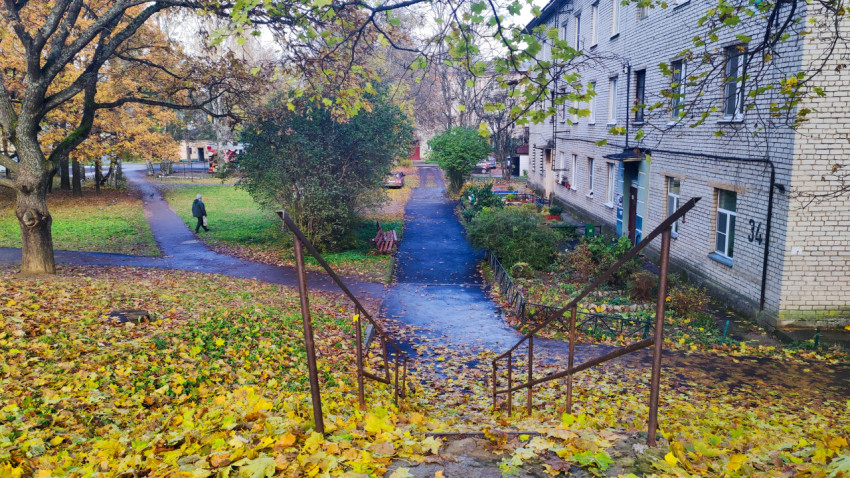 Лестничный спуск с повреждёнными перилами и накоплением листвы