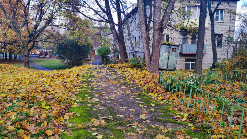 Участок придомовой дорожки с опавшей листвой и следами зарастания
