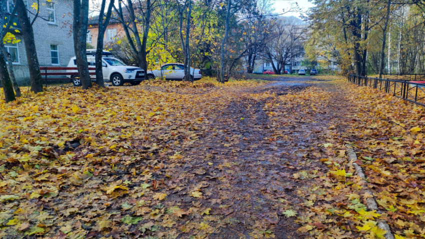 Размытая грунтовая дорожка с листвой и следами проезда автомобилей