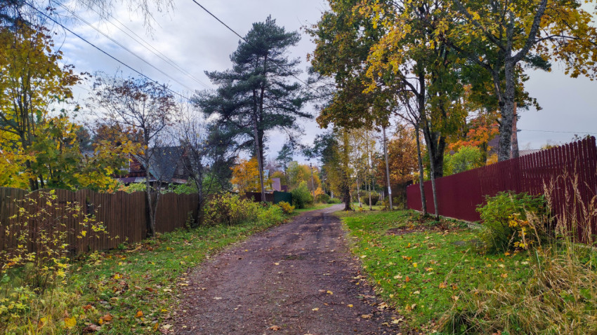 Деревенская дорога с заборами и деревьями в осеннюю погоду