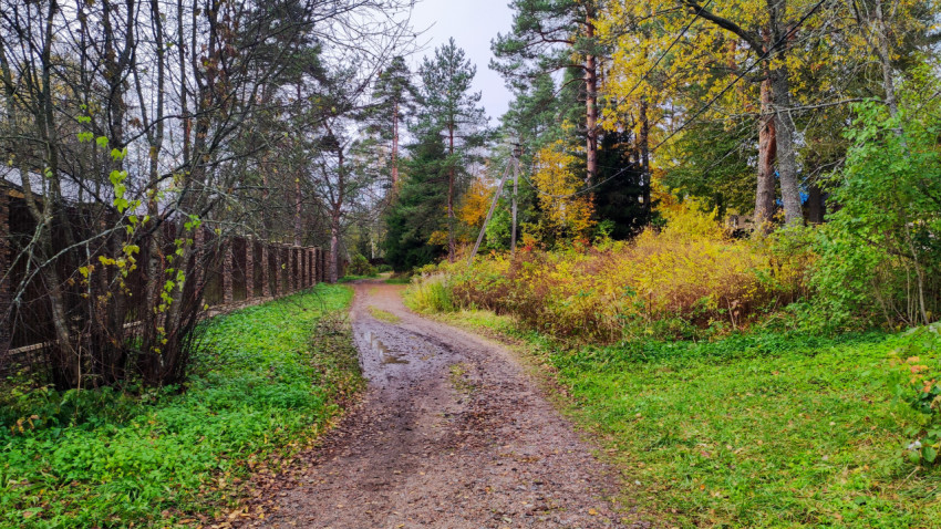 Просёлочная дорога вдоль забора и осеннего леса