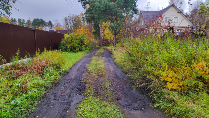 Грунтовая дорога у загородного дома осенью