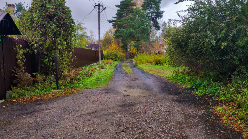 Загородная дорога с электролиниями и густыми кустарниками
