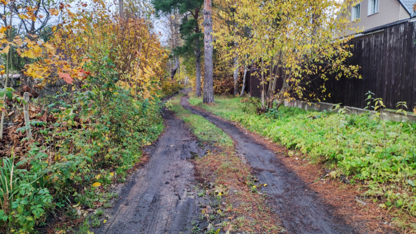 Осенняя проселочная дорога вдоль частных участков