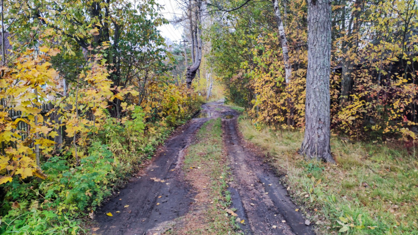 Проселочная дорога между частными участками в осенний сезон