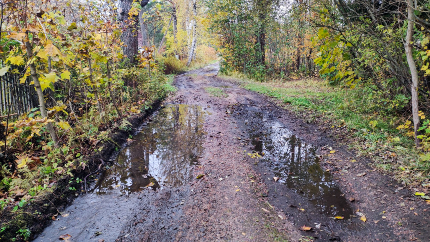 Проселочная дорога с лужами после дождя