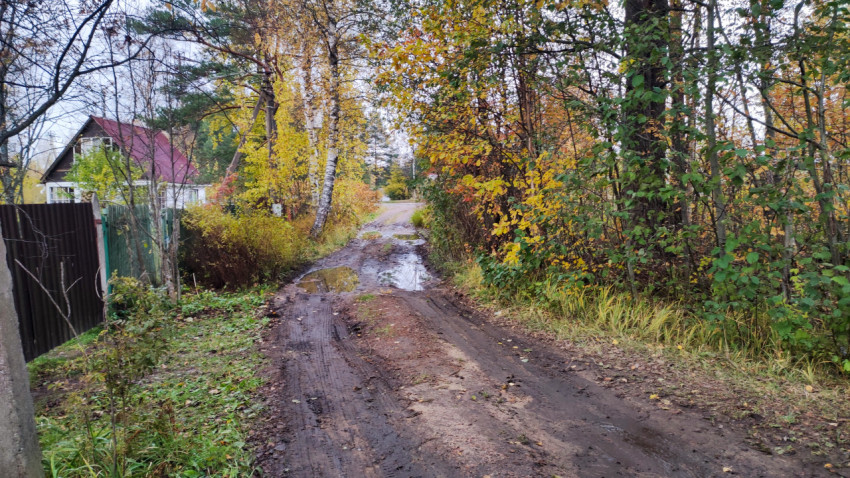 Грунтовая дорога у въезда в деревню осенью