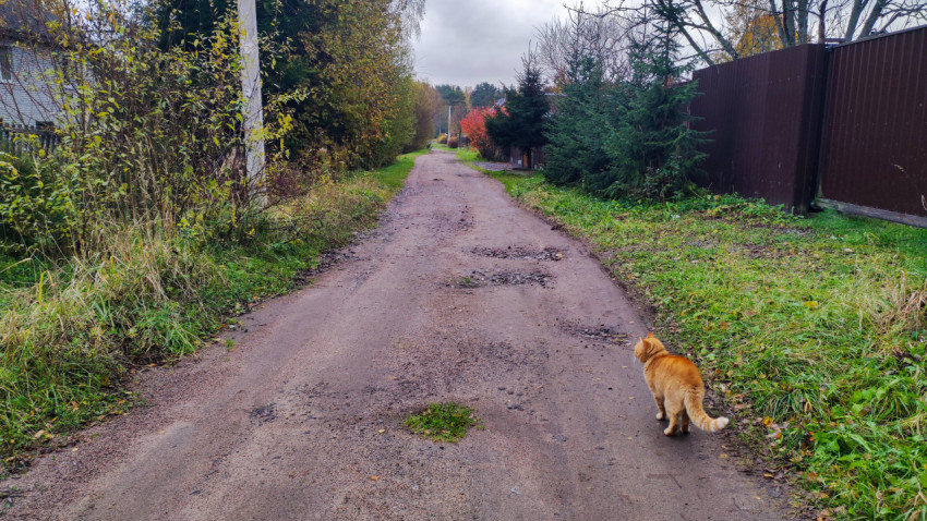 Грунтовая дорога между заборами частных домов
