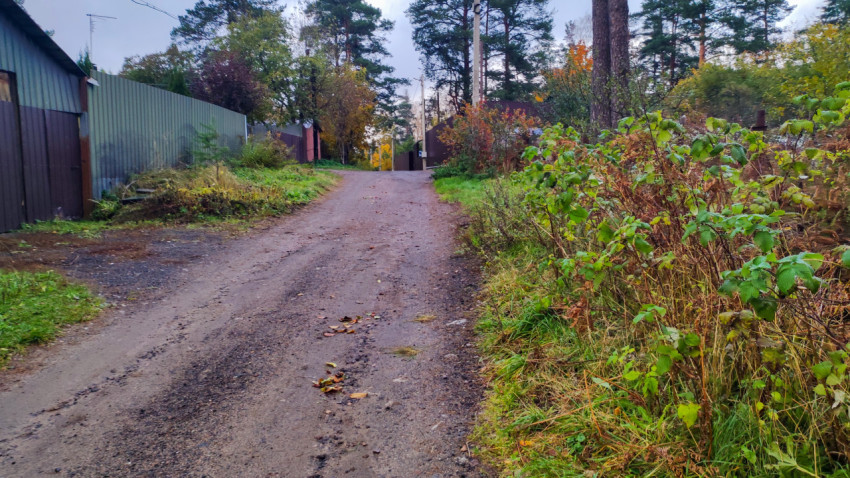 Грунтовая дорога между заборами и кустарниками в дачном поселке