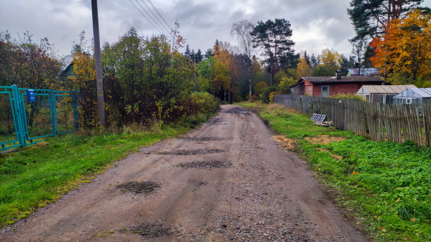 Грунтовая дорога между участками в садоводстве