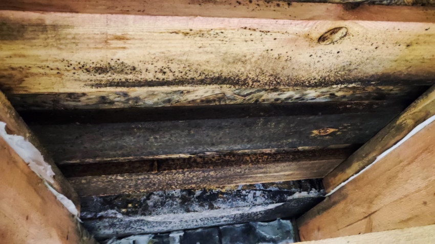 Деревянные балки перекрытия с признаками плесени и увлажнения
