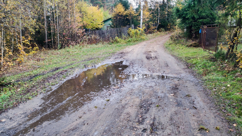 Грунтовая дорога с лужами после дождя в осеннем садовом поселке