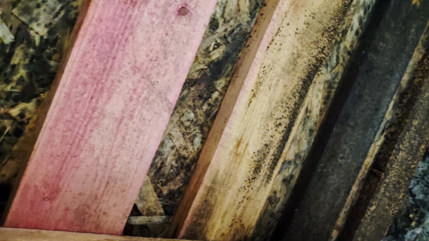 Поверхность деревянных досок с признаками обработки и окраски