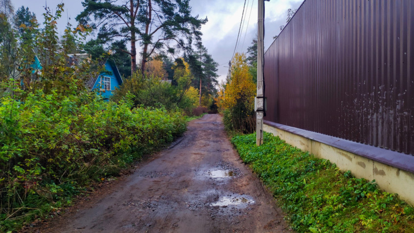 Узкая дорога вдоль забора с деревянным домом в зелени