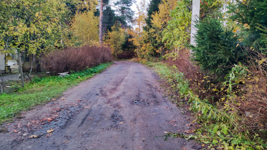 Сельская дорога с неровным покрытием вдоль участков и растительности