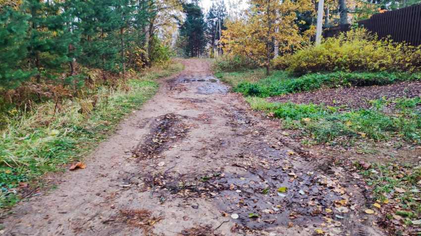 Грунтовая дорога с колеями и лужами вдоль лесной зоны