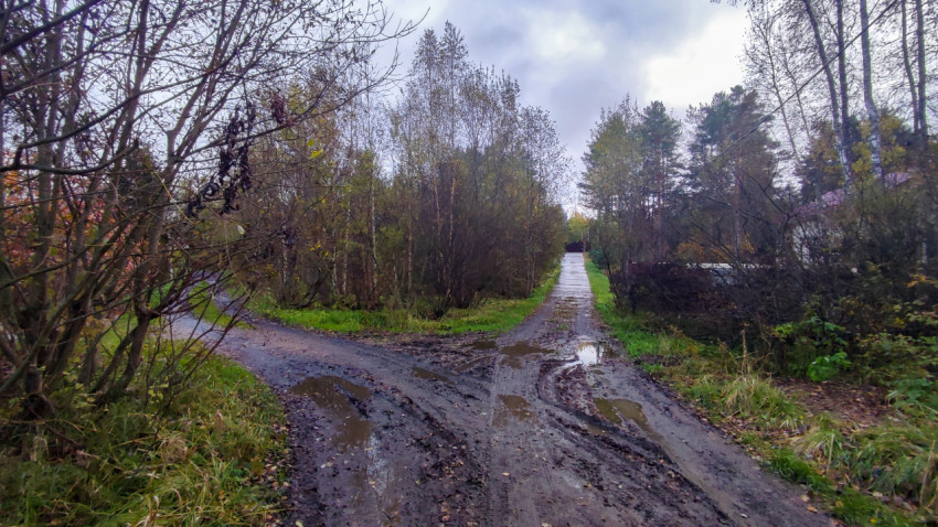 Развилка проселочных дорог после дождя в загородной местности