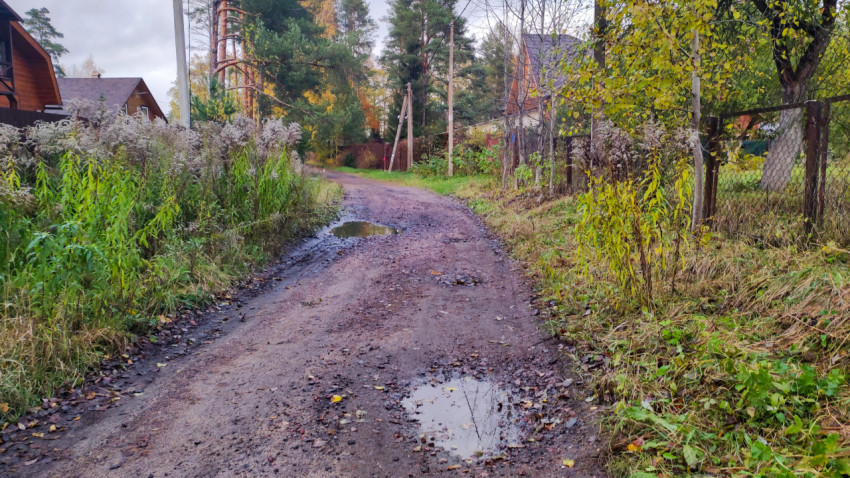 Грунтовая дорога с лужами между участками и домами