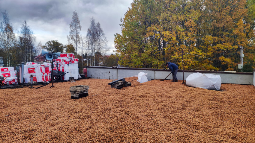Устройство засыпной теплоизоляции из керамзитового гравия на кровле
