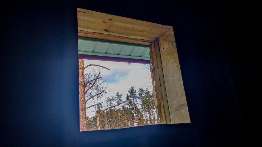 Оконный проём в стене каркасного дома с видом на сосновый лес