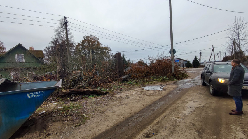 Мужчина осматривает участок после спила деревьев у дороги