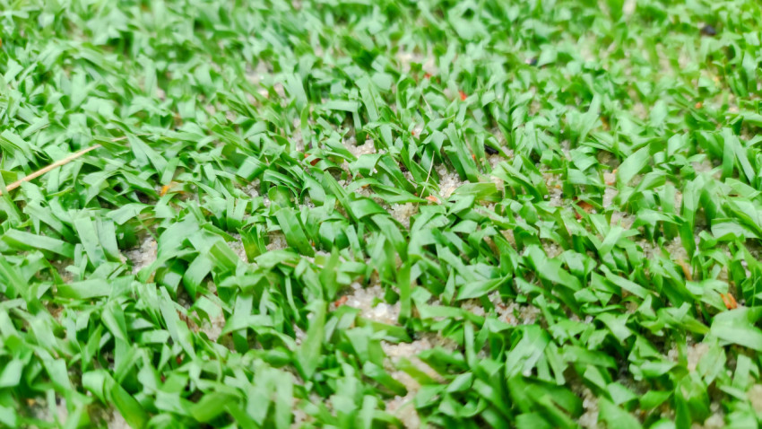 Макросъёмка искусственной травы на футбольном поле