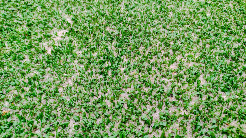 Крупный план структуры искусственной травы с наполнителем