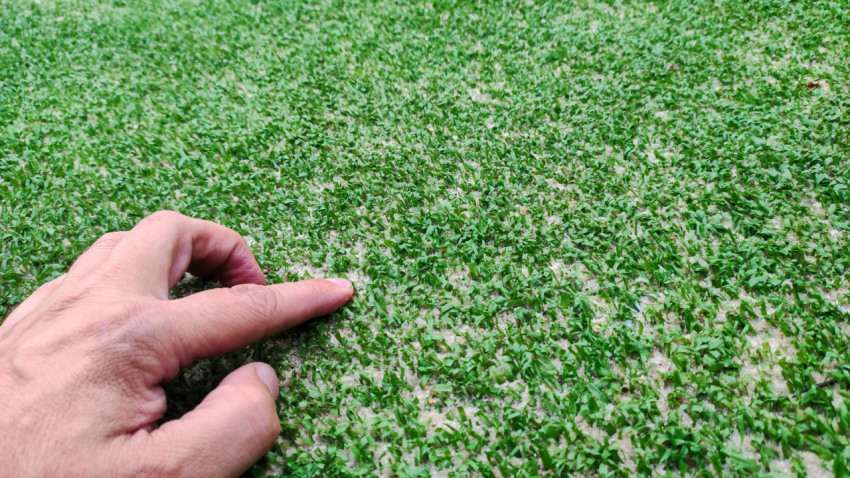 Тестирование структуры искусственного газона крупным планом