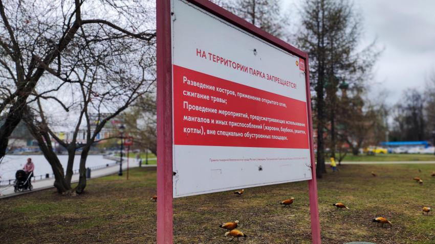 Предупреждение о запрете разведения огня на территории парка