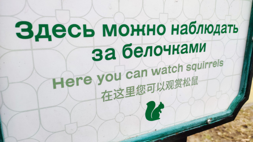 Многоязычный информационный знак о наблюдении за белками