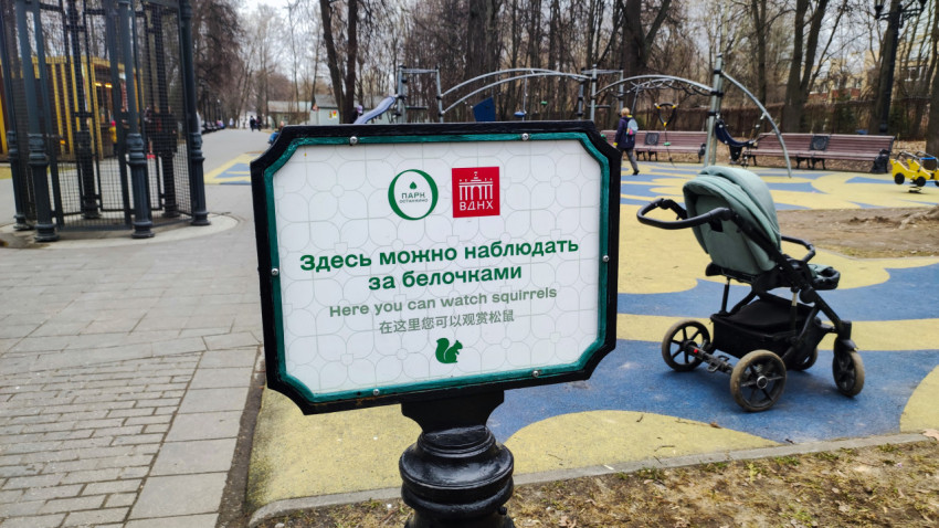 Информационная табличка о наблюдении за белками в парке ВДНХ