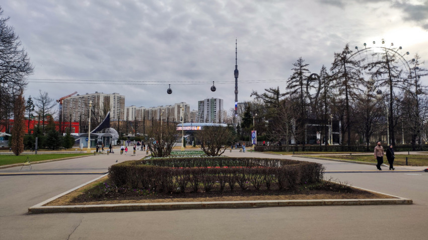 Останкинская телебашня и аллея городского парка в Москве