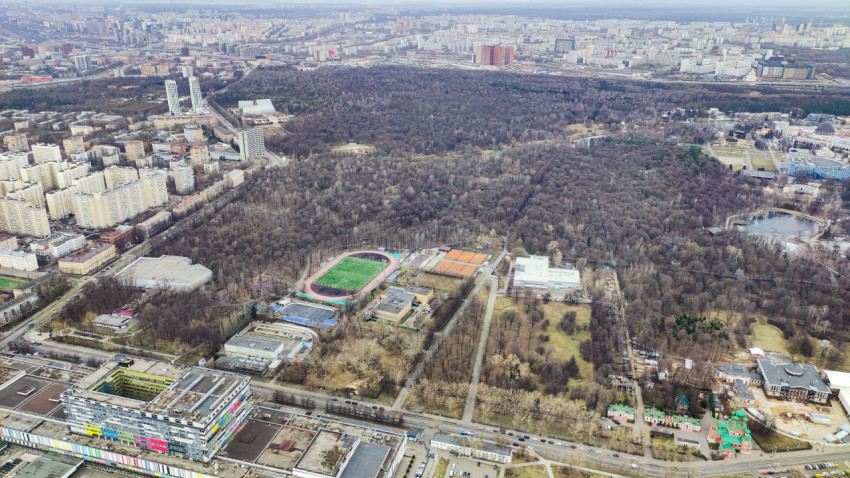 Вид на лесной массив Останкинского парка со смотровой площадки Останкинской башни