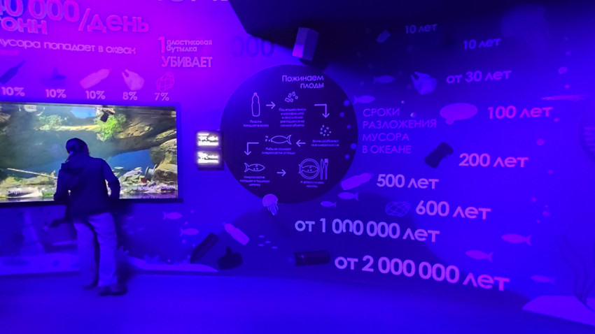 Экологическая инсталляция в «Москвариуме» с инфографикой о разложении мусора