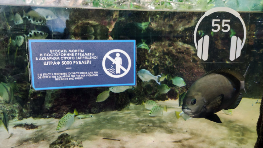 Рыбная экспозиция и предупреждающая табличка в Москвариуме