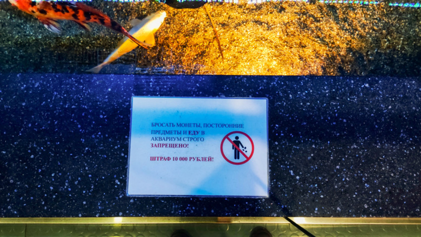 Предупреждение о запрете бросать предметы в аквариум в Москвариуме