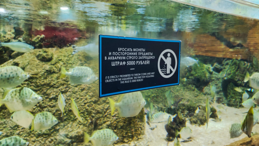 Табличка о запрете бросать предметы в аквариум
