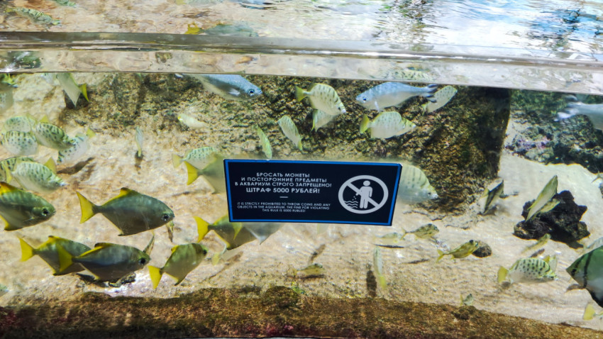 Предупреждающая табличка у аквариума Москвариума
