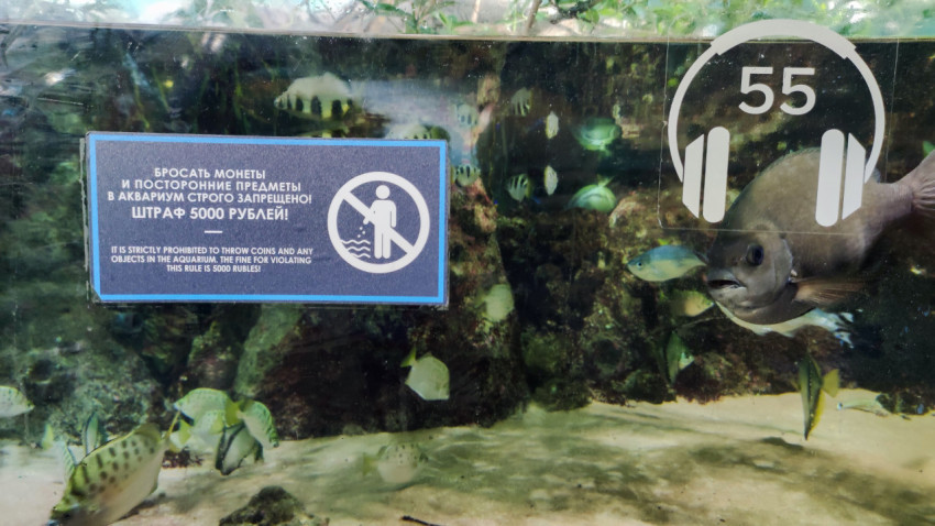 Табличка о запрете бросать предметы в аквариум Москвариума