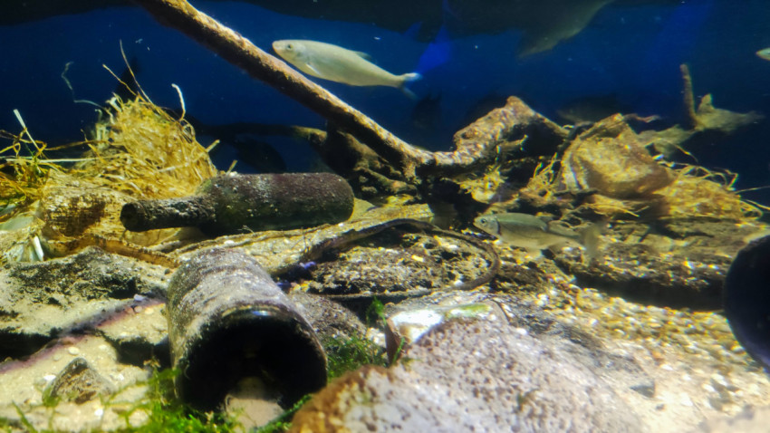 Аквариумная экспозиция с элементами техногенного загрязнения