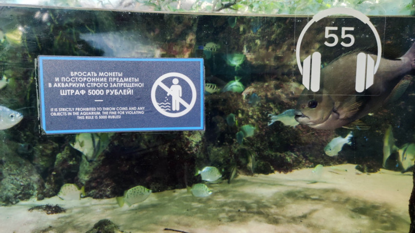 Информационная табличка в Москвариуме