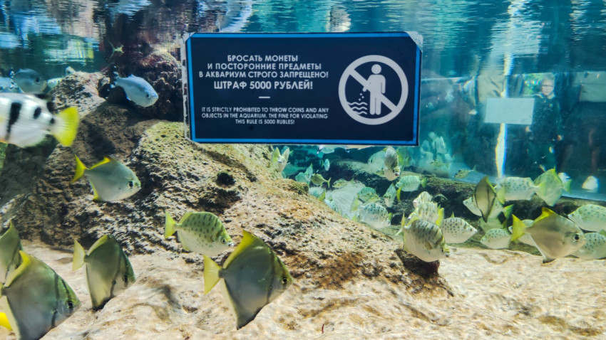 Аквариумная экспозиция с предупреждающим знаком в Москвариуме