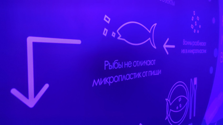 Информационный стенд о микропластике и его влиянии на рыбу