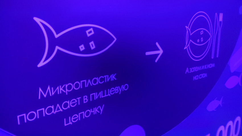 Победнение микропластика в пищевой цепочке — инфографика на стене