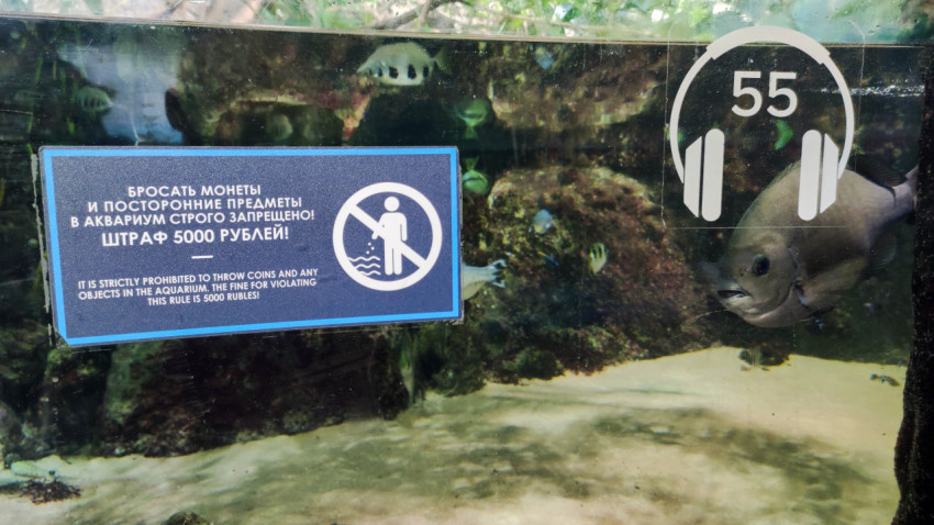 Предупредительная табличка у аквариума