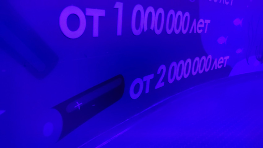 Экспозиционная инфографика о сроках разложения отходов