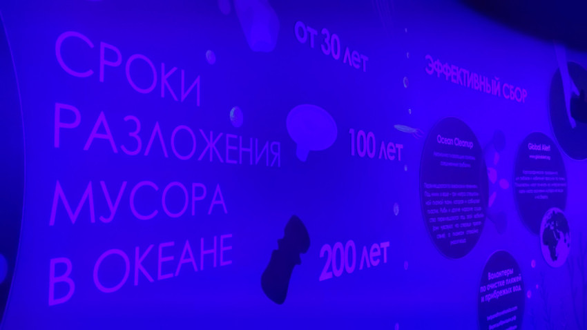 Экспозиционная инфографика о сроках разложения мусора