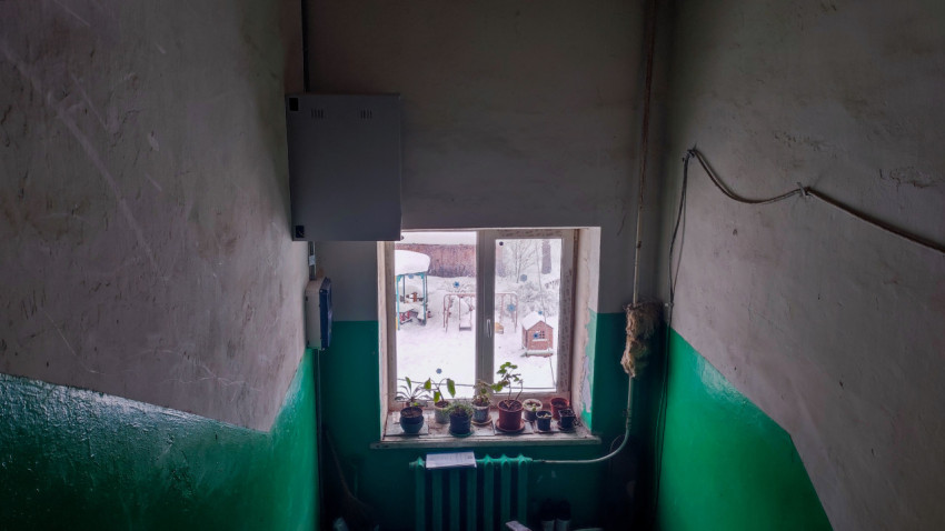 Подъезд жилого дома с окном и комнатными растениями на подоконнике