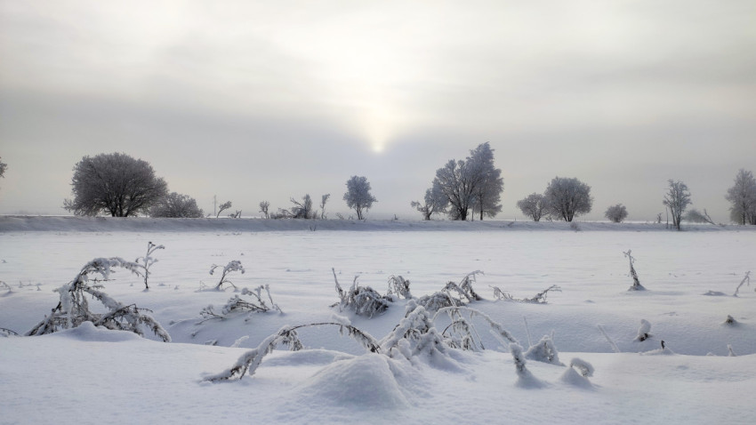 Солнечный свет над заснеженным полем