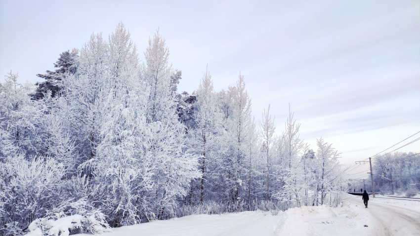 Лесная опушка у зимней дороги рядом с железнодорожной линией